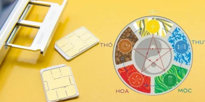 Sim ngũ quý giữa mang lại nhiều may mắn