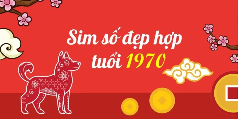 Các dạng sim năm sinh 1970 trên thị trường