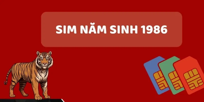 Một vài gợi ý về sim sinh năm 1986 dành cho nam giới