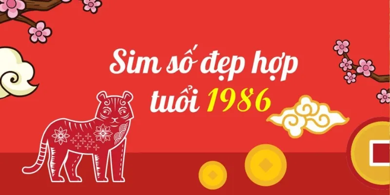 Những chiếc sim số đẹp năm 1986 thích hợp với nữ giới