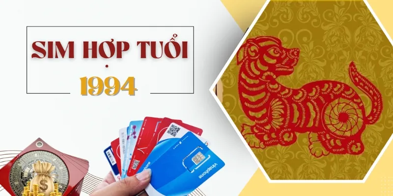 Sim sinh năm 1994 có gì đặc biệt
