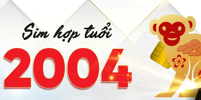 Sim sinh năm 2004 đem lại nhiều giá trị tốt đẹp cho người sở hữu