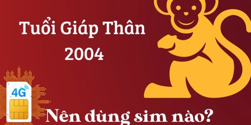 Sim sinh năm 2004 là số điện thoại như thế nào