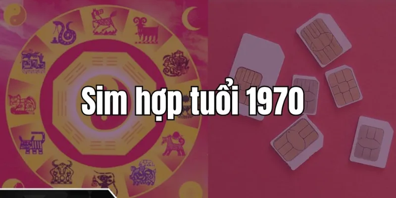 Chiêu tài, kích lộc với sim sinh năm 1970 