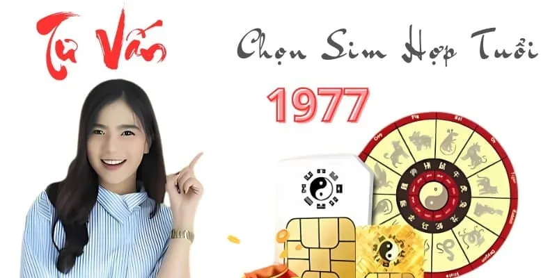 Tư vấn mua sim sinh năm 1977