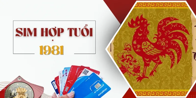 Ngoài chọn sim đuôi 1981 bạn nên kết hợp với các yếu tố phong thủy khác