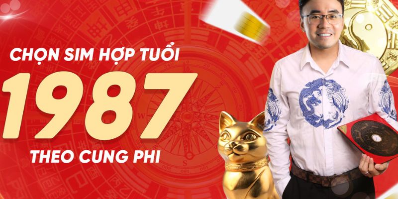 Cách chọn sim sinh năm 1987