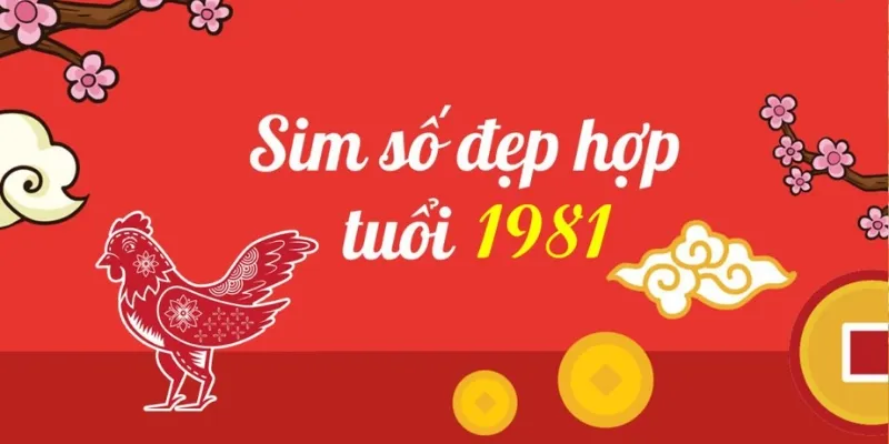 Sim sinh năm 1981 gồm 3 dạng cơ bản