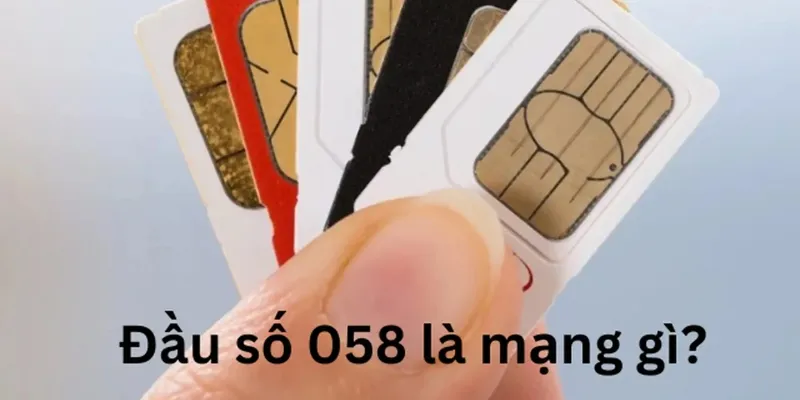 Đầu số 058 là mạng gì?