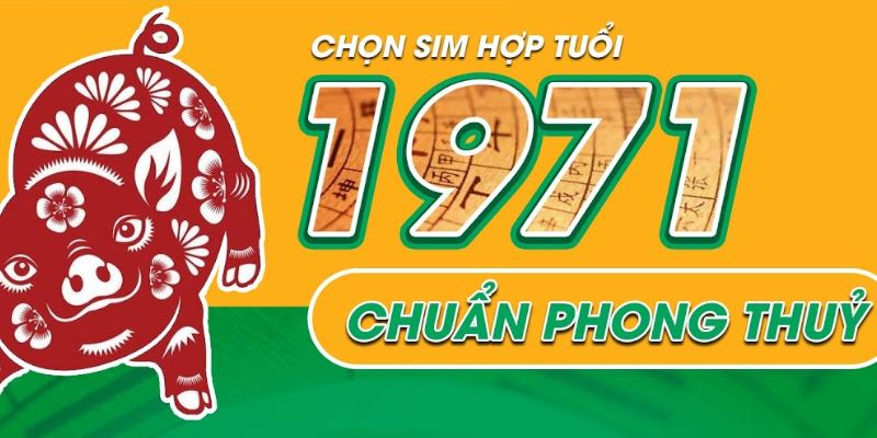 Lưu ý khi mua bán sim sinh năm 1971
