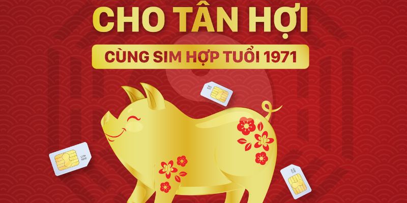 Những dạng sim sinh năm 1971 
