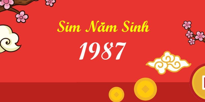Sim năm sinh 1987 là gì