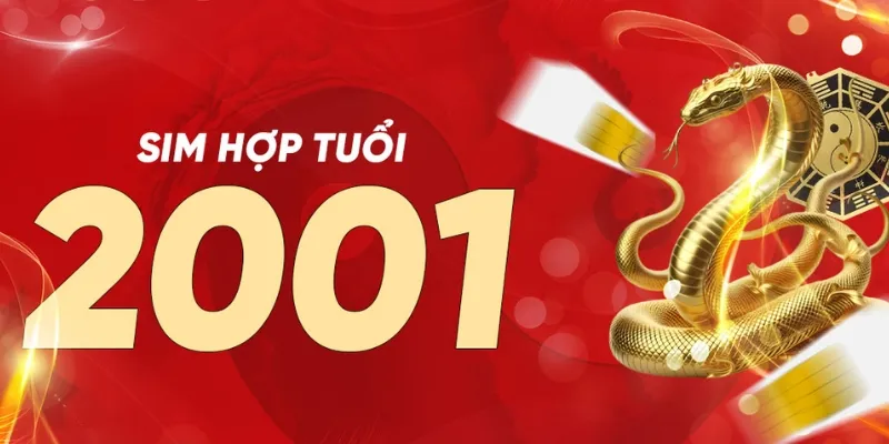 Sim sinh năm 2001 tạo dấu ấn riêng cho thân chủ