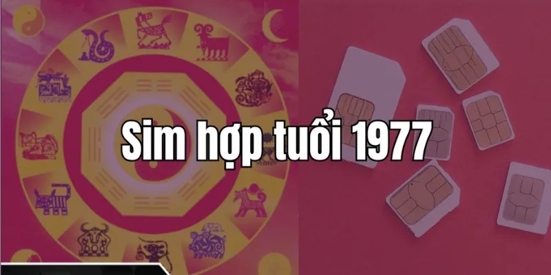 Thị trường mua bán sim sinh năm 1977