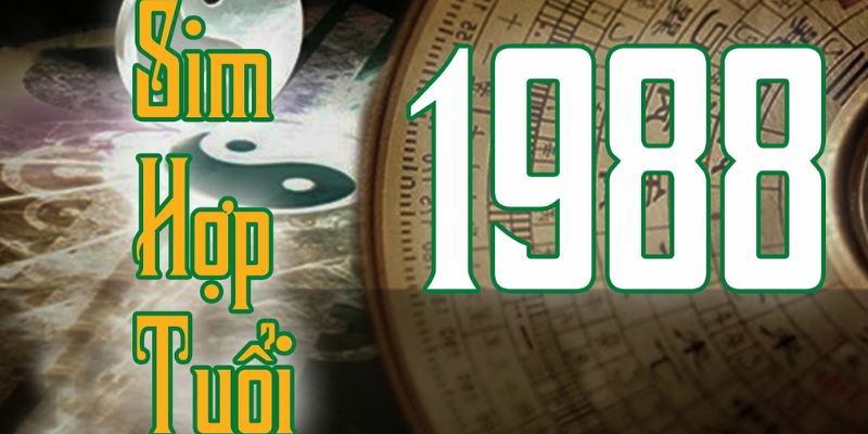Tìm hiểu về dòng sim sinh năm 1988