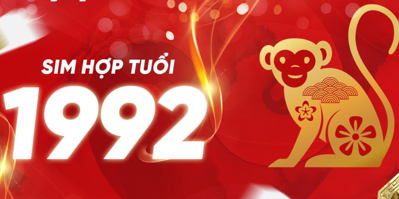 Tìm hiểu về sim sinh năm 1992