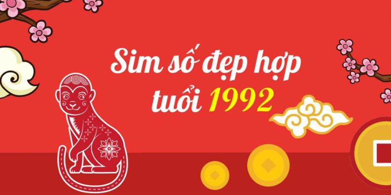 Ý nghĩa sim đuôi 1992