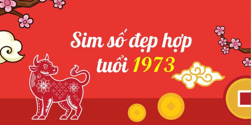 Ý nghĩa sim sinh năm 1973 cho người dùng